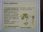 P8290071.JPG
