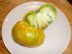 tomates 08-2012 n° 1.jpg