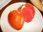 tomates 08-2012 n° 4.jpg
