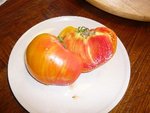 tomates 08-2012 n° 7.jpg