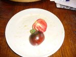 tomates 08-2012 n° 8.jpg