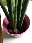 photo22.jpg