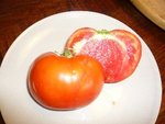 tomates 08-2012 n° 9.jpg