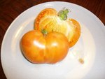 tomates 08-2012 n° 10.jpg
