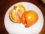tomates 08-2012 n° 13.jpg