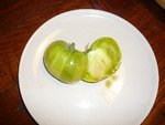 tomates 08-2012 n° 14.jpg