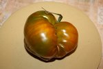 Belle maurinoise verte.JPG