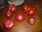 5 rose de berne à côté de Andrew(600g).jpg