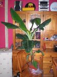 DSCN4816.JPG