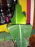 DSCN4818.JPG