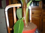 DSCN4819.JPG