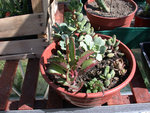 DSCN4058 web.jpg