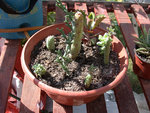 DSCN4060 web.jpg