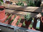 DSCN4063 web.jpg