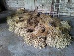 20120813_185806.jpg