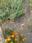 Vue sous un autre angle