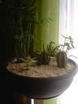 IMG00060.jpg