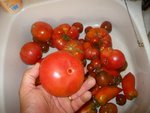IMGP0939.JPG