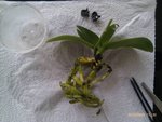 IMAG0281.jpg