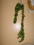 Photo12.jpg