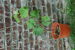 DSC_5021s.jpg