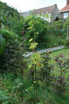 DSC_5020s.jpg