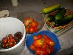 IMGP0950.JPG
