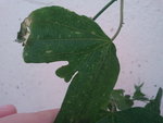 2012-09-07 19.08.37.jpg