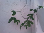 2012-09-07 19.08.45.jpg