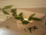 2012-09-07 19.08.55.jpg