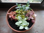 DSC01361.JPG