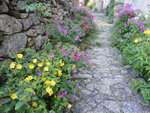DSC01367.JPG