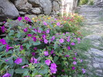 DSC01369.JPG