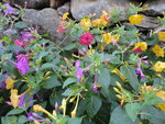 DSC01370.JPG