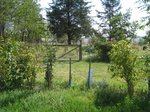 IMG_3244.JPG