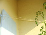 j'ai attache les branches...<br />autrement, c'est la chute!