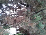 2012-09-12 16.23.25.jpg