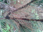2012-09-12 16.24.17.jpg