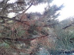 2012-09-12 16.24.55.jpg