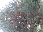 2012-09-12 16.26.30.jpg