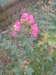 WP_000115.jpg