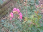 WP_000116.jpg