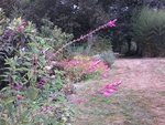 Photo0026.jpg