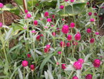 2012-08-24 17.00.41.jpg