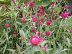 2012-08-24 17.01.19.jpg