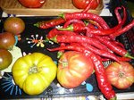 Tomates & piments.jpg