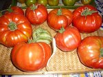 Tomates bis.jpg
