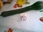 RECOLTE LEGUMES DU 15 SEPTEMBRE 2012 0011.jpg