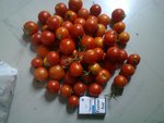 RECOLTE LEGUMES DU 15 SEPTEMBRE 2012 0041.jpg