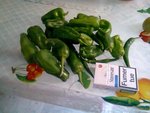 RECOLTE LEGUMES DU 15 SEPTEMBRE 2012 0051.jpg